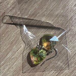 Handmade pair of earrings